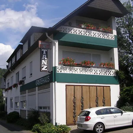 Rebstock Bruttig-Fankel