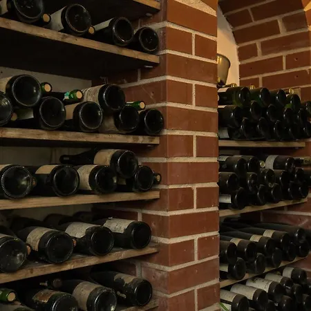 Otel Rebstock Bruttig-Fankel