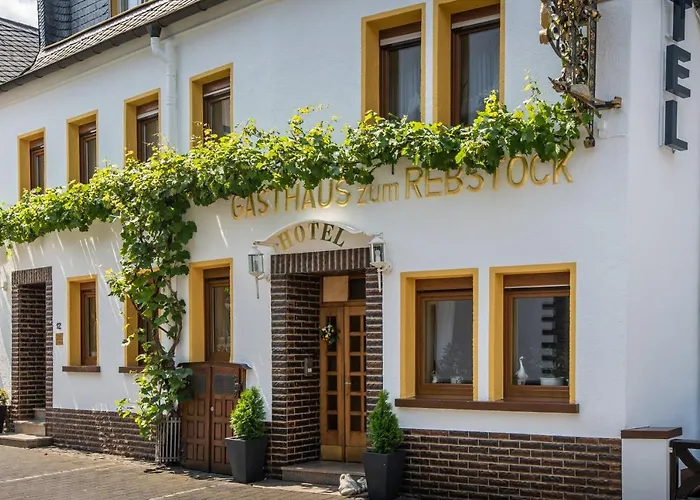 호텔 Rebstock 2*