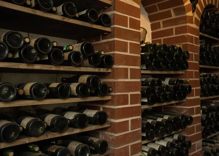 호텔 Rebstock 브루티크판켈